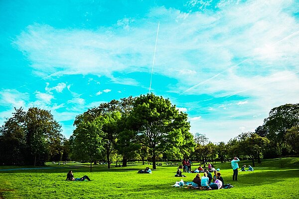 A green park is pictured with a blue sky and people relaxing on grass
